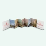 Speciaal gevouwen folders met foliedruk - afbeelding 2 - dwcprint-production